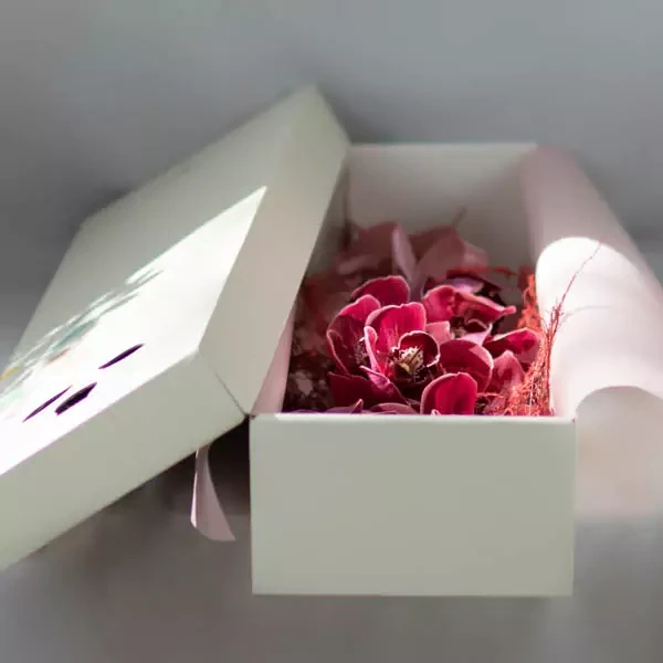 ორქიდეა გრძელ ყუთში