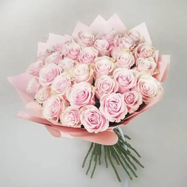 ვარდისფერი ვარდები (30)