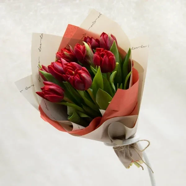 წითელი ტიტების თაიგული (10 ც)