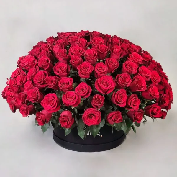 წითელი ვარდები შავ ყუთში (200ც)
