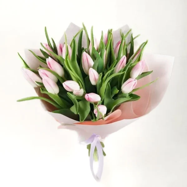 ტიტები ვარდისფერი (21 ცალი)