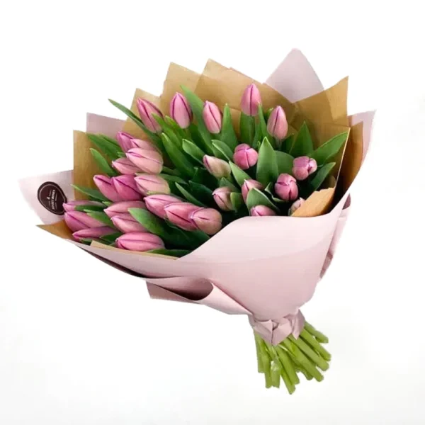 ტიტები ვარდისფერი (31 ცალი)