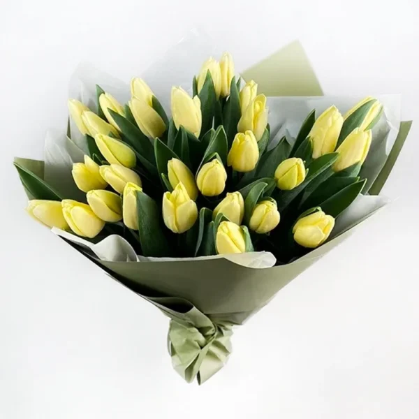 ლიმონისფერი ტიტები (30 ცალი)
